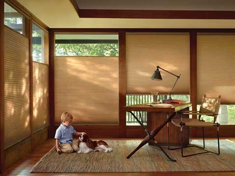 Hunter Douglas Dealer Image